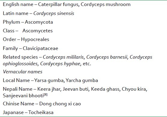Table 1: Mycological features and vernacular names of Cordyceps sinensis
