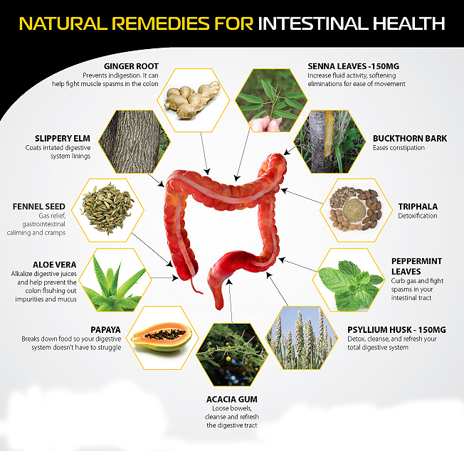 Natural approaches for digestive health