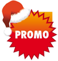 new year promotion