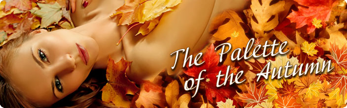 tianDe autumn palette beauty products